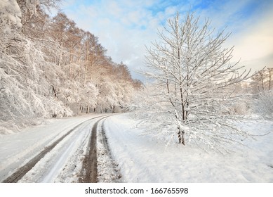 Road and a snow covered trees in Latvia - Powered by Shutterstock