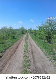 
road spring field trees