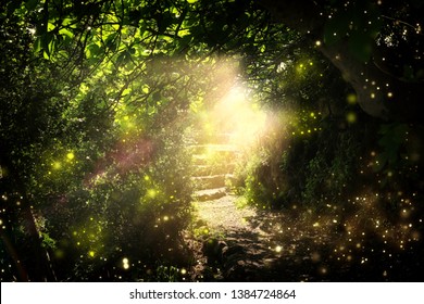Road and stone stairs in magical and mysterious dark forest with mystical sun light and firefly. Fairy tale concept