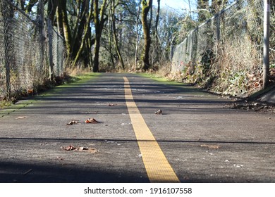 Road Stretching Out From Low Vantage Point With Forest And Fence On Sides