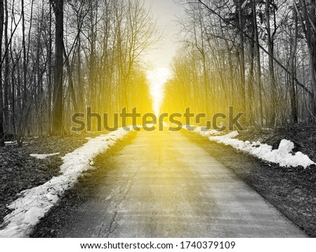 Road with sunlight. Overcoming problems concept