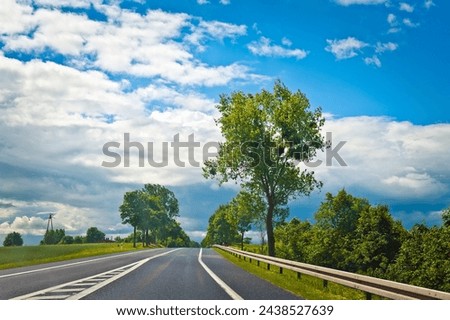 Road in a sunny day landscape