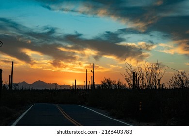 Road To Sunset Through The Saguaro Forest