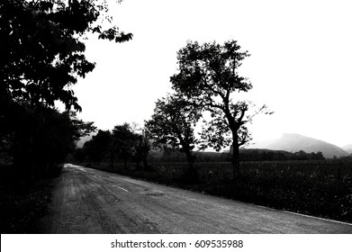 Road surface roughness.
