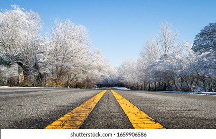 Road Surrounded By Trees Covered With Snow Seen From Ground Level