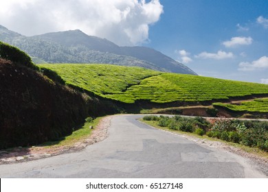 Road In Tea Plantations. Munnar, Kerala