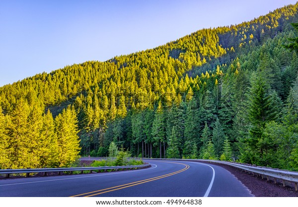 The road that you take to the next trip\
destination can be very beautiful. Soak in the forest waking up in\
the early morning sun. Take your time. It is the journey that\
matters. Not the\
destination.