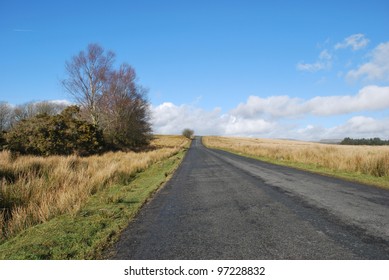 Road though field
