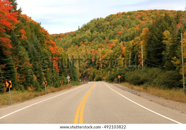 Road through Algonquin Provincial Park in fall,\
Ontario, Canada