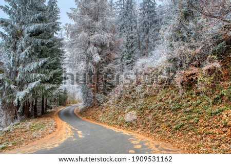 Road through autumnal forest. Cold morning in autumn in the mountains. Autumn bright trees in first early frost and a deserted road. Colorful autumn scene of Swiss Alps