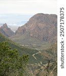 Road through Big Bend National Park.                                