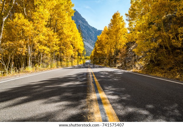 The road through California\'s June Lake Loop\
in the autumn, with colorful aspen leaves. Middle of the pavement\
photograph