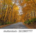 Road through colorful Autumn trees. Road through Pere Marquette State Park in Grafton, Illinois with colorful Fall foliage