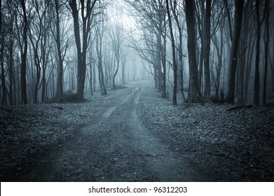 road through a dark forest at night