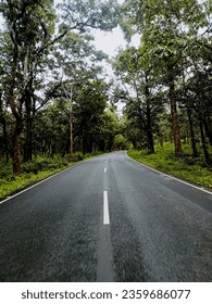Road Through the dense forest 
