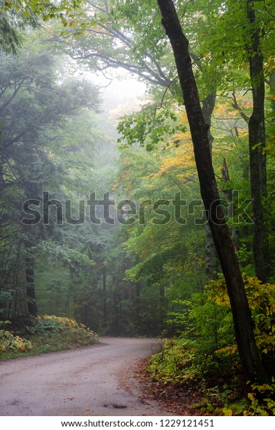 Road Through Door Bluff County Park Stock Photo Edit Now