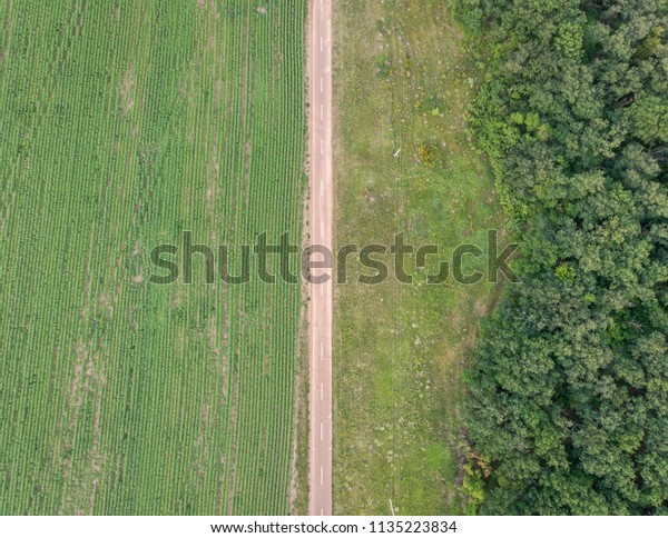 Road through the field - top
view