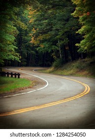 road through forest