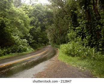 Road through forest.