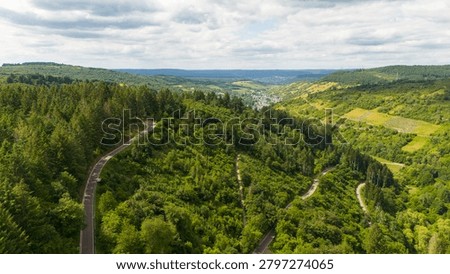 Road through forest in summer, path through coniferous and deciduous trees, rural countryside landscape in Eifel Germany, travel destination, aerial view
