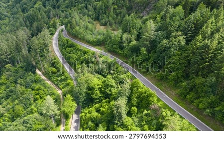 Road through forest in summer, path through coniferous and deciduous trees, rural countryside landscape in Eifel Germany, travel destination, aerial view