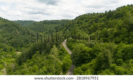 Road through forest in summer, path through coniferous and deciduous trees, rural countryside landscape in Eifel Germany, travel destination, aerial view