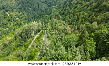 Road through forest in summer, path through coniferous and deciduous trees, rural countryside landscape in Eifel Germany, travel destination, aerial view