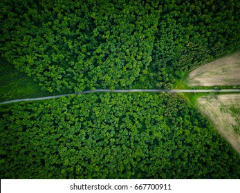 Road through the forest, view from height - aerial view