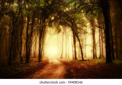 road through a golden forest at autumn - Powered by Shutterstock