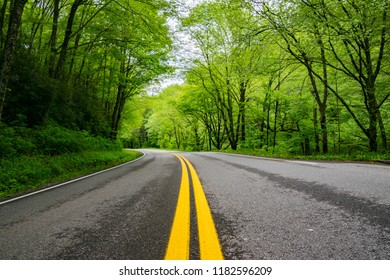 Road Through Great Smoky Mountains National Park