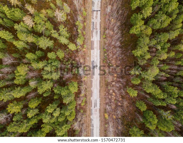 Road\
through the green forest from above. Taiga forest from aerial view.\
Vasyugan swamp. Oil reserves transportation.\
