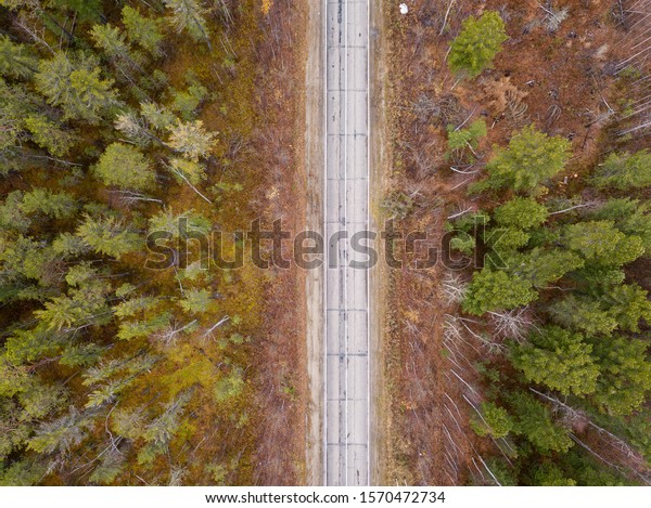 Road\
through the green forest from above. Taiga forest from aerial view.\
Vasyugan swamp. Oil reserves transportation.\
