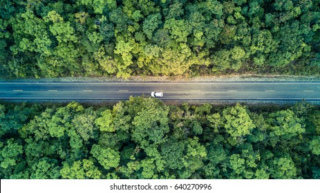 Road through the green forest, Aerial view car drive going through forest, Aerial top view forest, Texture of forest view from above, Ecosystem and healthy environment concept and background.