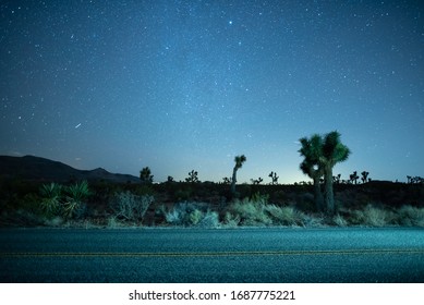 Road Through Joshua Tree National Park At Night, With Star Filled Night Sky