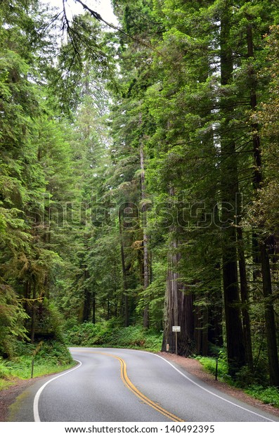 Road through the\
mountains and redwoods