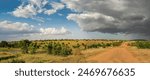 Road through savannah in Masai Mara National Reserve. Maasai Mara, also sometimes spelled Masai Mara and locally known simply as The Mara, is a large national game reserve in Narok, Kenya, Africa