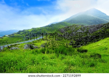 Road through scenic green hills and fields along the Ring of Kerry, near Killarney National Park, Ireland