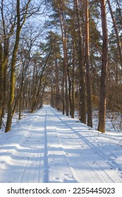 road through snowbound winter forest - Shutterstock ID 2255445023
