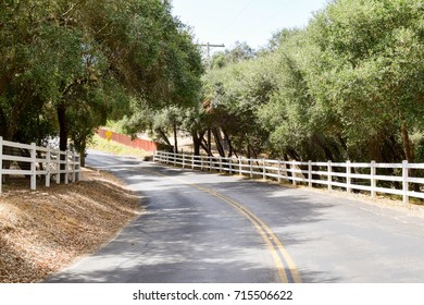 Road through trees