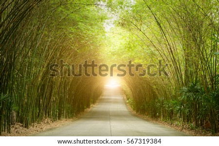 Similar – Image, Stock Photo Light at the end of the tunnel