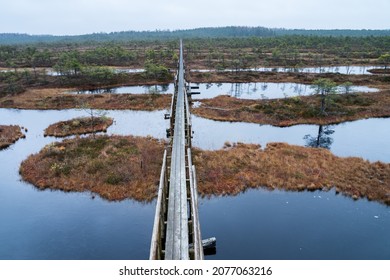 Road through typical mire in humid November day, colorful floating peat moss, bonsai sized pine trees reflecting from bog pools. Wooden duckboards protecting vulnerable surface from human touch.