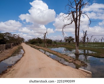 Road through wetlands in Amboseli National Park, Kenya, Africa - Shutterstock ID 2251990599