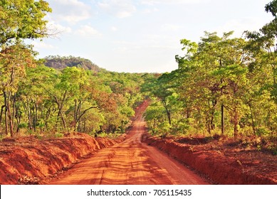 Road through the wilds of northern Mozambique