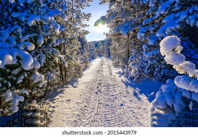The road through the winter snow forest. Winter snow road in forest. Winter forest snowy road. Snow road in winter forest
