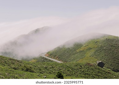 Road throught green hills with coastal fog - Powered by Shutterstock