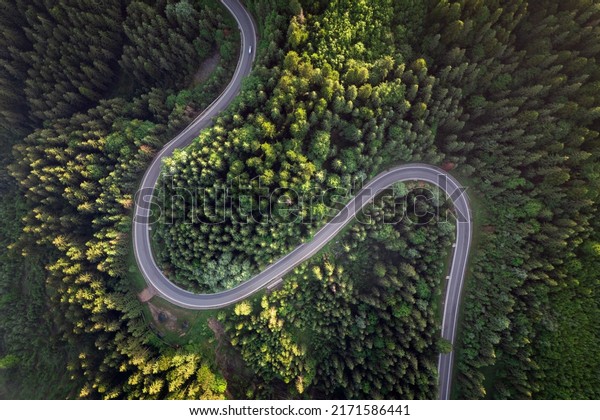 Road top view, summer green\
forest