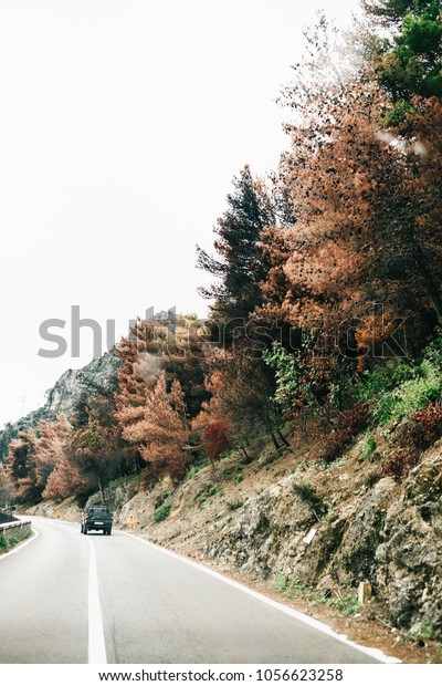 A road towards Maratea\
in the South of Italy. Shot in Fall, so with many colorful leaves\
in the trees.