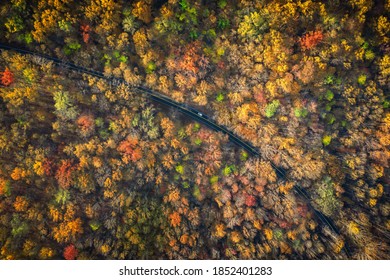 Road Traveling Through Smoky Mountains Through Smoky Mountians