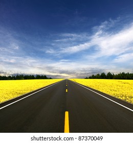 Road Travelling Through Canola Field Stock Photo 87370049 | Shutterstock