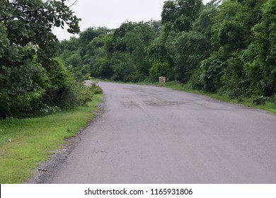 road and tree